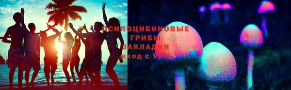 ПСИЛОЦИБИНОВЫЕ ГРИБЫ Карталы