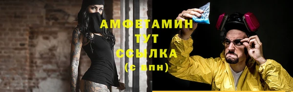 стаф Карпинск