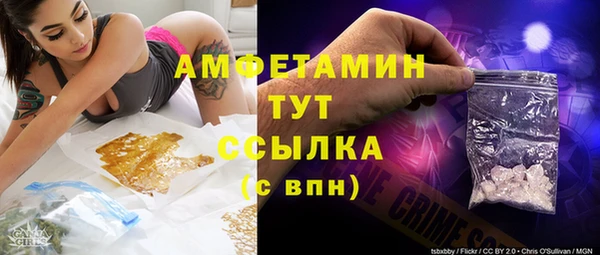 ПСИЛОЦИБИНОВЫЕ ГРИБЫ Карталы
