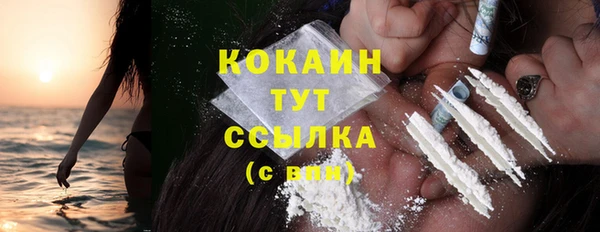 стаф Карпинск