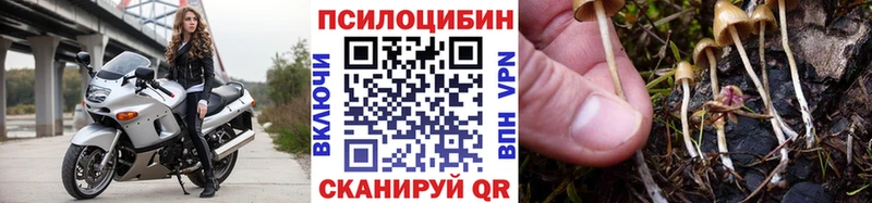 Галлюциногенные грибы MAGIC MUSHROOMS Бокситогорск