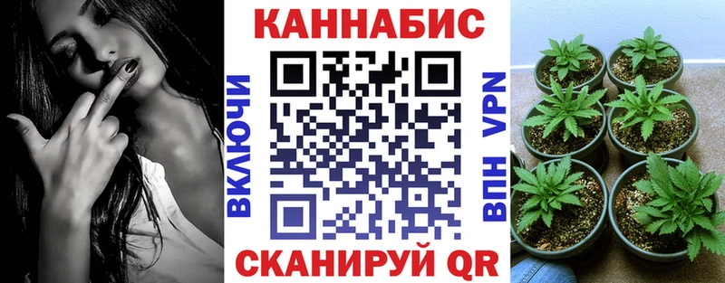 Купить  Бокситогорск  Конопля семена 